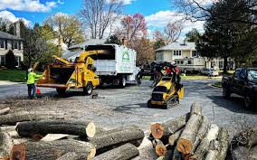 Best Emergency Tree Removal  in Highland Lakes, NJ