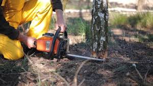 Best Pest Control for Lawns  in Highland Lakes, NJ