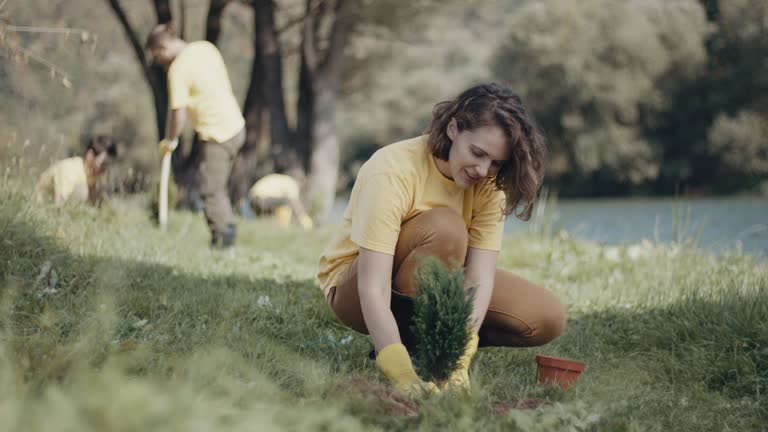 Best Lawn Irrigation Installation and Maintenance  in Highland Lakes, NJ