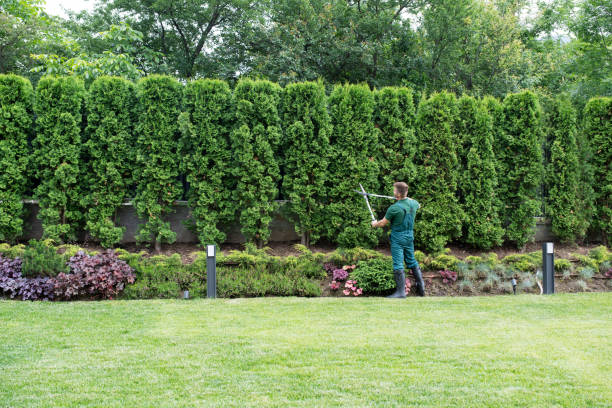 Artificial Turf Installation in Highland Lakes, NJ